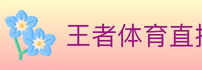 王者体育直播 logo